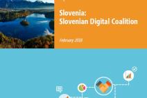 Slovenia: Slovenian Digital Coalition
