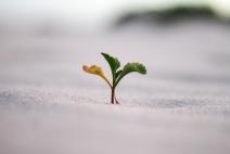 EU’s corona fund aims to at a sustainable and digital recovery