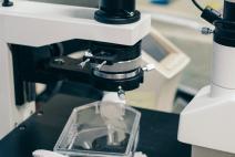 France calls for joint European efforts in strengthening the European industrial health sector