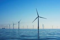 One of the biggest renewable energy projects in the IT sector has been unveiled