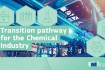 Take a look at the Transition Pathway for Chemicals!